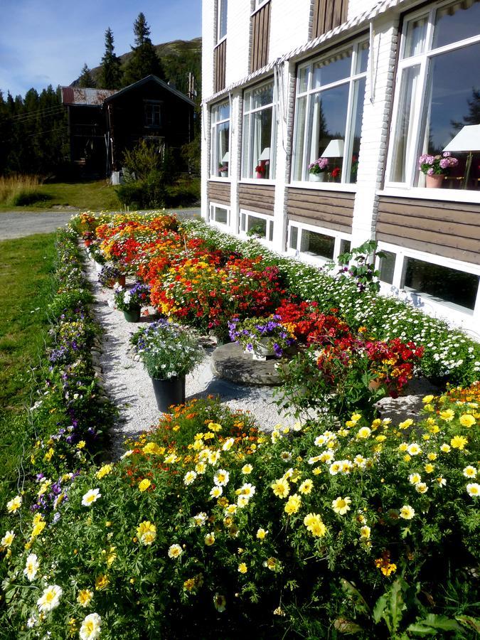 Tronsvangen Seter Alvdal Bagian luar foto